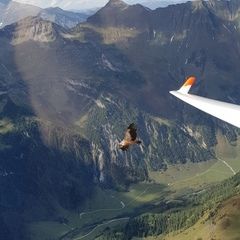 Flugwegposition um 12:52:24: Aufgenommen in der Nähe von Gemeinde Rauris, 5661, Österreich in 2721 Meter